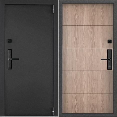 УМНАЯ ДВЕРЬ Т-100